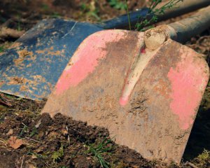 У Запорізькій області росіяни крадуть зерно, сільгосптехніку, дітей змушують рити окопи