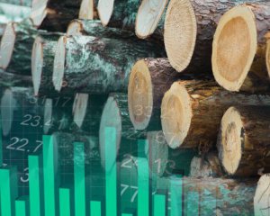 Ученые определяют древесину как биржевой товар