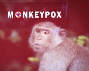 Очередной фейк от россиян: обезьянья оспа была разработана в украинских биолабораториях