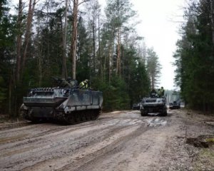 Литва відправить Україні нову партію військової допомоги: що отримаємо