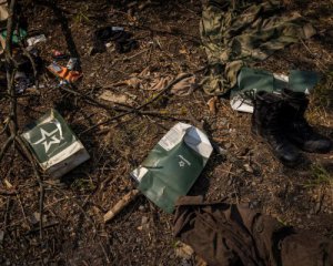 На переправі через Сіверський Донець ЗСУ знищили понад 400 окупантів - NYT