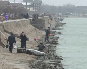 Щогодини про "визволення": Бердянськ під'єднали до радіостанцій РФ