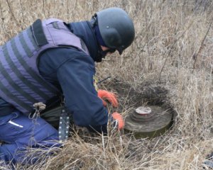 Министр рассказал, сколько миллионов гектаров заминировали россияне