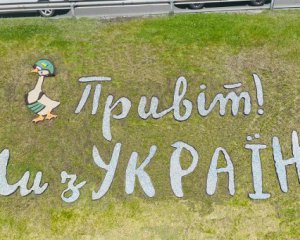 В честь гусей, сбивших самолет оккупантов: возле метро Левобережная появилось еще одно панно