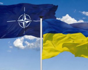 НАТО допустило  дві помилки стосовно України - ексочільник Альянсу