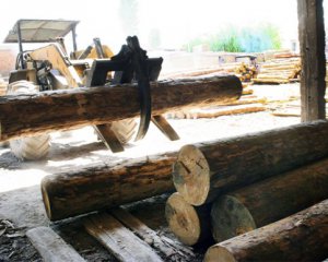 Лісгоспи Рівненщини успішно реалізували ресурс у травні