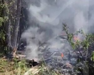 У Бєлгородській області РФ розбився літак: відео з місця аварії