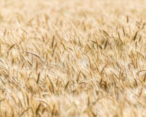 За відкриття українських портів: в ООН відповіли, чого хоче Росія