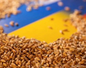 Туреччина купляє у РФ крадене українське зерно – &quot;Схеми&quot;