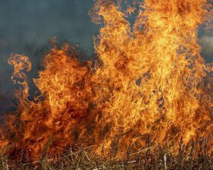 Оккупанты обстреляли кофейню, сожгли пшеницу на юге Украины