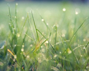 На замену придут дожди: рассказали, где в Украине уменьшится жара завтра