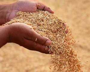 В Турции подтвердили, что вопрос с украинским зерном скоро будет решен