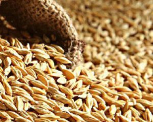 Хищение  зерна в Запорожской области координирует бывший нардеп – разведка