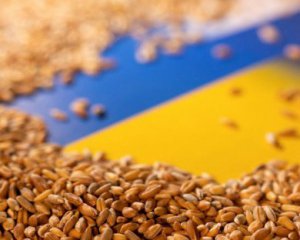 Украденные в Украине товары будут вывозить в Россию быстрее – Госдума рассматривает закон
