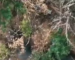 Прямо в окоп: показали "ювелірні" удари ЗСУ по ворогу
