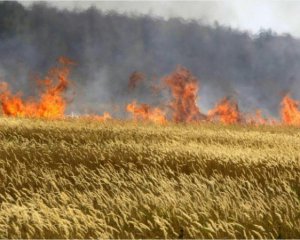 У Криворізькому районі від обстрілів росіян згоріли десятки гектарів врожаю – Вілкул