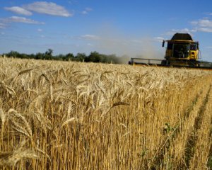 Щоб не дістався Росії: українські фермери спалюють новий врожай