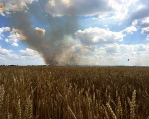 В Запорожской ОВА оценили зерновые убытки из-за российской агрессии