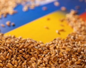 В Кабмине посчитали, сколько Украина выручит от экспорта зерна в этом году