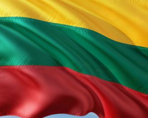 В Литве хотят лишать гражданства за поддержку агрессии РФ