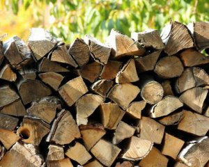 В Україні черги по дрова. Які ціни й де можна придбати розповіли в Держагентстві лісових ресурсів