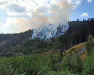 Масштабный лесной пожар в Ивано-Франковской области – огонь тушат уже второй день