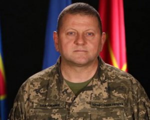 Ни одна жертва не станет напрасной – Залужный обратился к украинцам в День памяти защитников