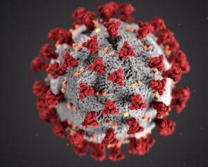 Коронавирус уже в этом году унес 1 млн жизней – ВОЗ