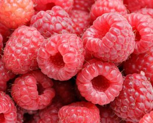 Як правильно зберігати ягоди, щоб вони не псувалися - порада від експерта