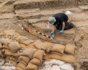 Дослідники викопали велетенський бивень