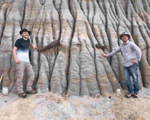 Археологи обнаружили в скале редкий скелет динозавра