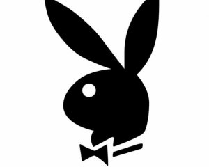 Playboy решил судьбу офиса в Украине