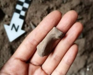 В пещере археологи обнаружили древние артефакты