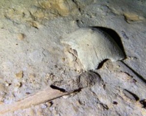 В пещере нашли человеческий скелет