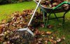Як правильно восени прибрати сад і подвір'я - корисні поради