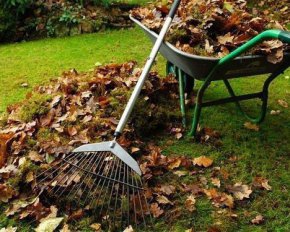 Як правильно восени прибрати сад і подвір&#039;я – корисні поради