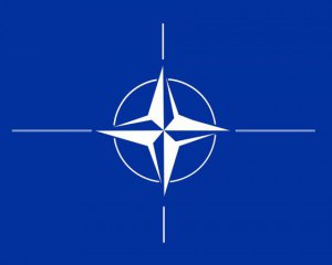 В НАТО прокомментировали заявку Украины на вступление