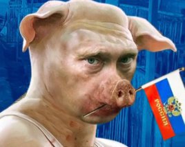 Спали і їли зі свиньми: СБУ показала відео з &quot;командного пункту&quot; росіян