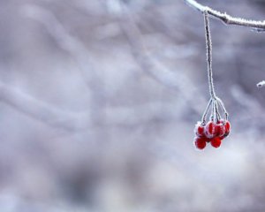 Мороз до -20°С: народний синоптик розказав, якою цьогоріч буде зима