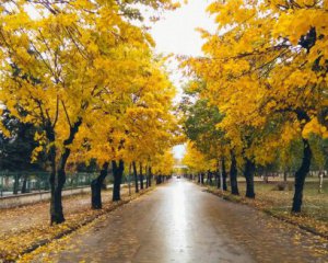 В Україні місцями дощитиме ‒ погода на неділю