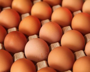 Ціни на яйця ‒ урядовці уклали меморандум із виробниками
