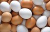Чому коричневі курячі яйця дорожчі за білі: у чому полягає їх різниця