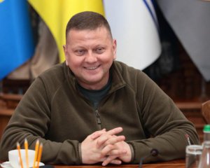 Деокупація Херсонщини: Залужний назвав кількість відвойованих населених пунктів