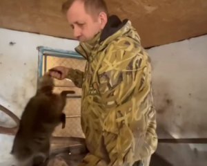 Викрадачем єнота із Херсона виявився скандальний власник кримського зоопарку: відео