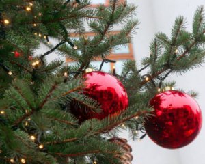 Синоптик рассказал, какой будет погода на Новый год и Рождество в Украине