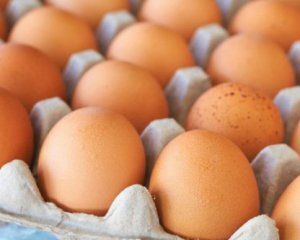 Як перевірити, чи свіжі яйця – кілька порад