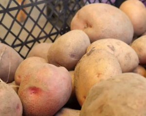 Не &quot;демонизируйте&quot; картофель: ученые обнаружили неожиданную пользу этого овоща для здоровья