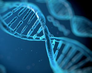 Украинские ученые совершили сенсационное открытие