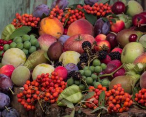 Бойовий імунітет взимку: 15 продуктів, що зміцнять імунну систему