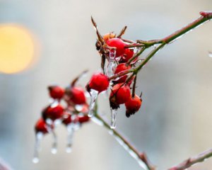 Мокрий сніг і дощ прийде в один регіон України: прогноз на 3 грудня